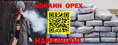 гашик Можга