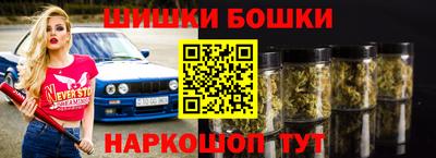 гашик Можга