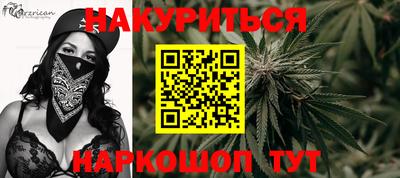 гашик Можга