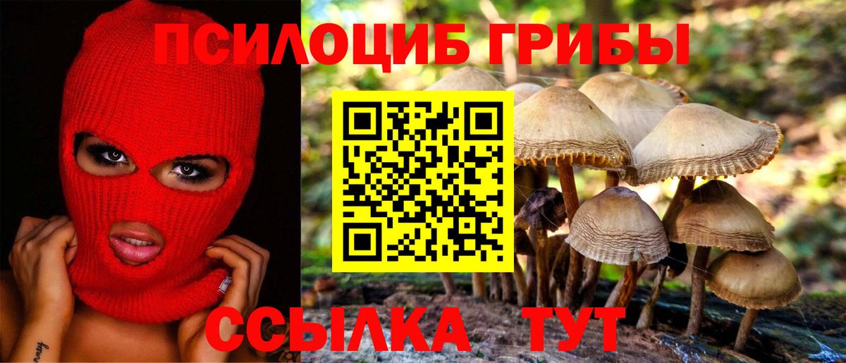 Галлюциногенные грибы Magic Shrooms  Вход с VPN  Псилоцибиновые грибы Psilocybe  Чебаркуль 