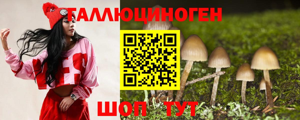 Псилоцибиновые грибы мицелий Чебаркуль